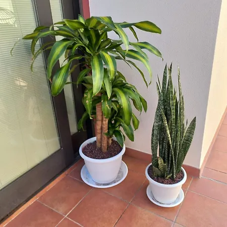 בית נופש Chris Ocean View *