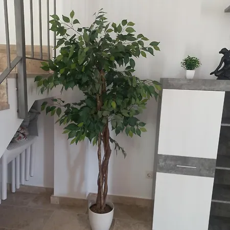 Holiday home Chris Ocean View La Jaca