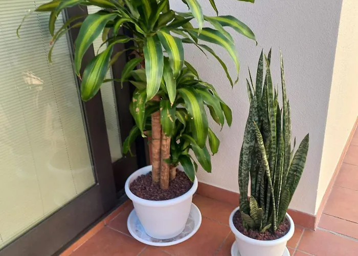 Ferienhaus Chris Ocean View *