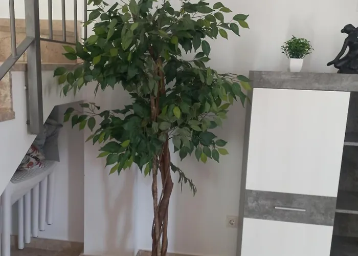 Casa vacanze Chris Ocean View La Jaca